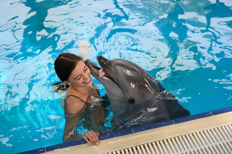 Dolphins, Water Parks, and Zip Lines: A Family’s Dream Getaway