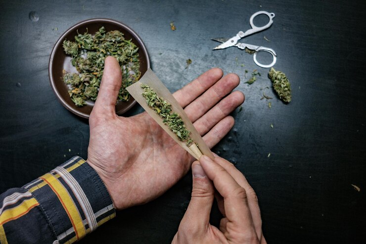 Why HEMPLAND’s Organic Hemp Protein Is Your Plant-Powered Swiss Army Knife